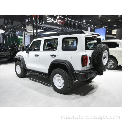 China Factory Direct Supply Great wall Tank 300 SUV 2023 Model 2.0T Cuirass 02 NEW cars 8-gear gasoline car